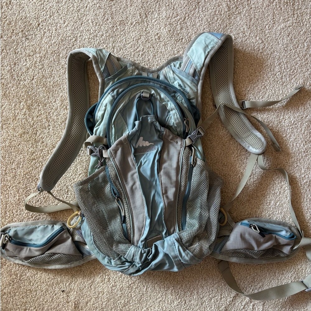 Gregory Light Blue Daypack with Subtle Gray Accents